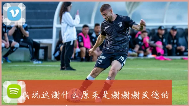 我说这谢什么原来是谢谢谢泼德的幽默与智慧之道