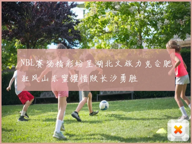 NBL赛场精彩纷呈湖北文旅力克合肥狂风山东蜜獾惜败长沙勇胜