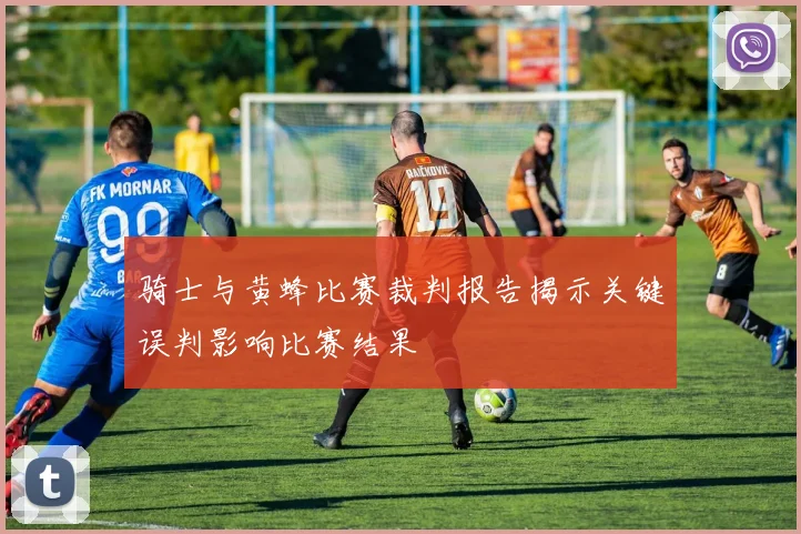 骑士与黄蜂比赛裁判报告揭示关键误判影响比赛结果