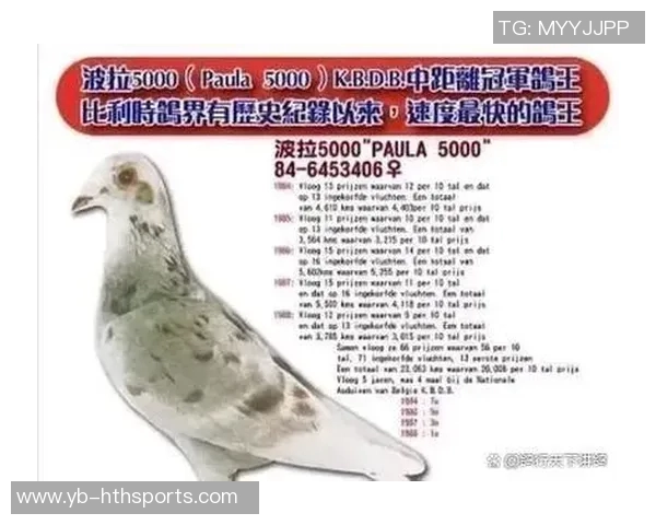 十年恩怨再燃战火斯科特尔与迭戈科斯塔传奇赛场上再度冲突 十年恩怨再燃战火斯科特尔与迭戈科斯塔传奇赛场上再度冲突